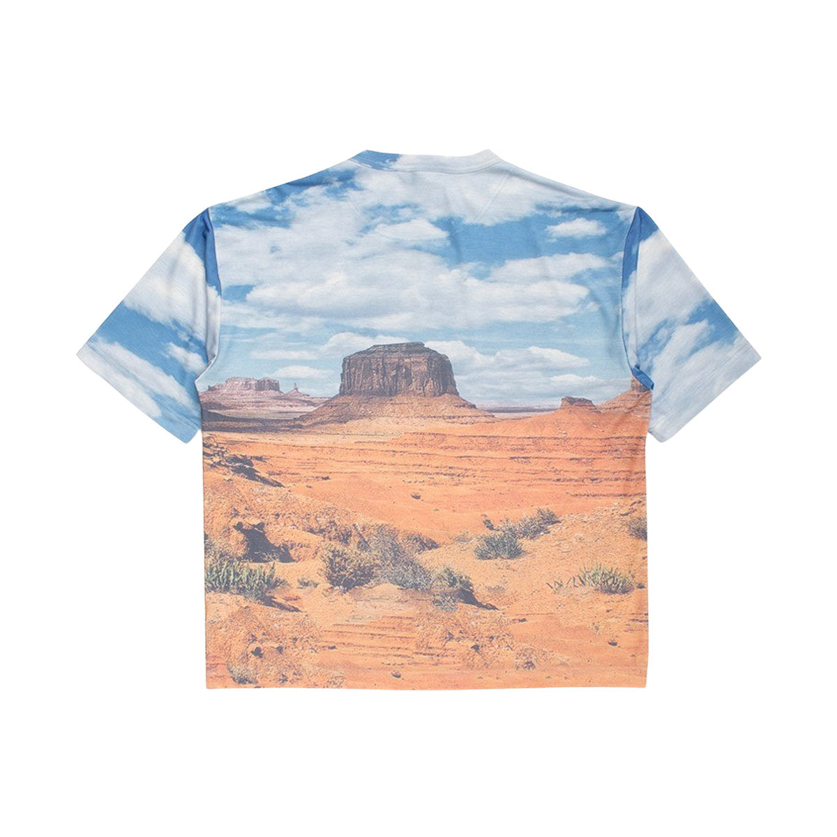Indian,インディアン,Tシャツ,メンズ,レディース