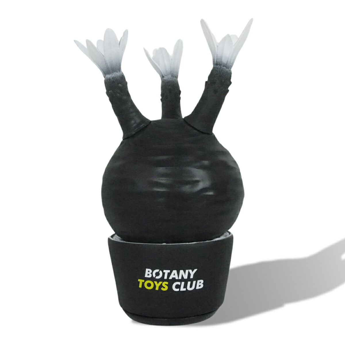 BOTANY TOYS CLUB VCD Pachypodium Gracilius BLUE METALLIC Ver.