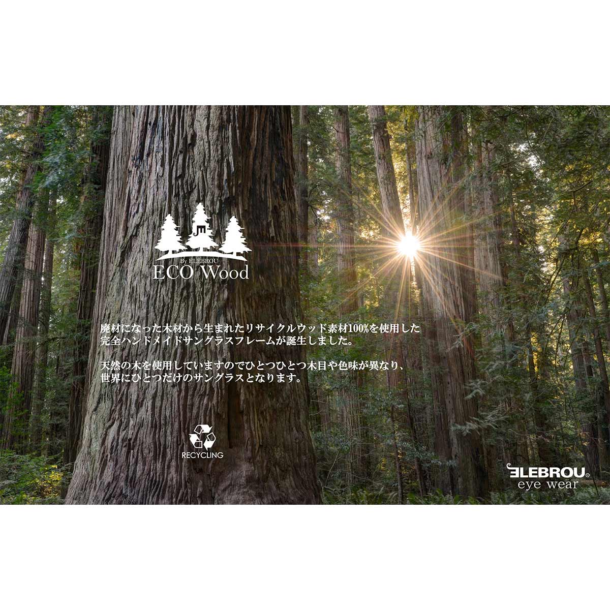 ELEBROUeyewear,エレブロ,サングラス,メンズ,レディース