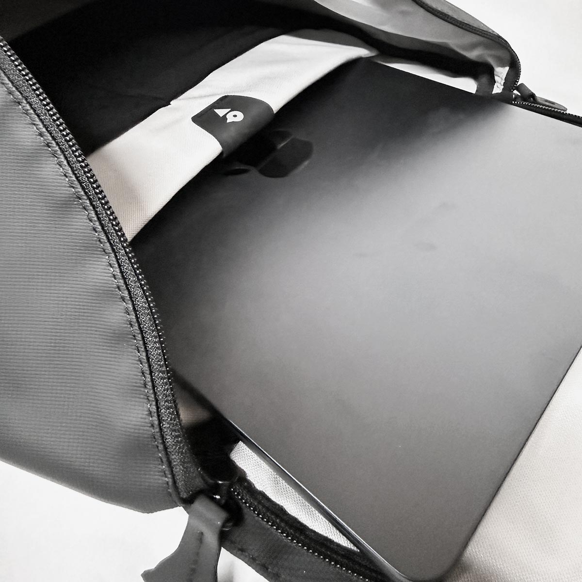 VENQUE ヴェンク Altos バックパック